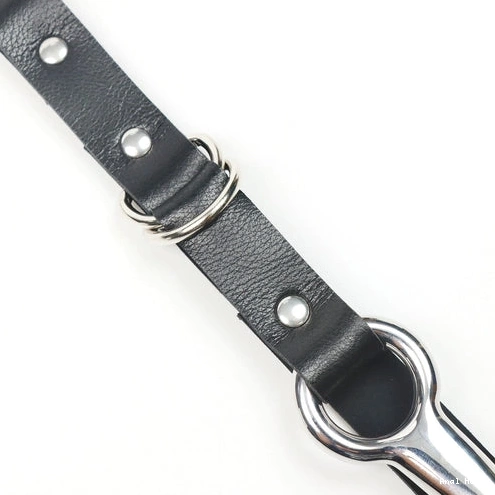 Collar EverydayUse Hook Kinky with 5853 and Anal Leash 0713